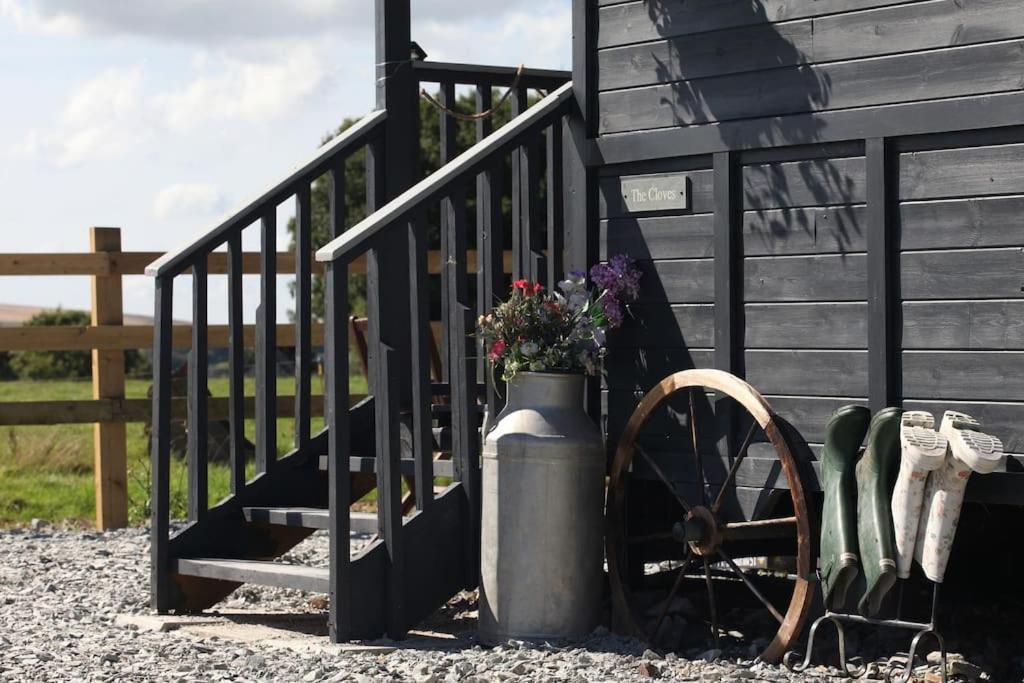 The Cloves Farm Shepherd's Hut Holiday home Lydford
